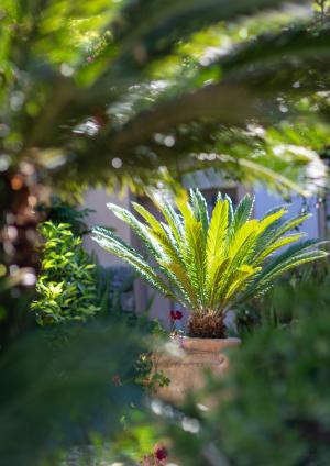 Hôtel Sainte Valérie