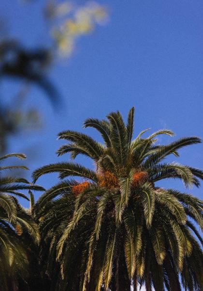 La Villa Sainte Valérie - Standards de température